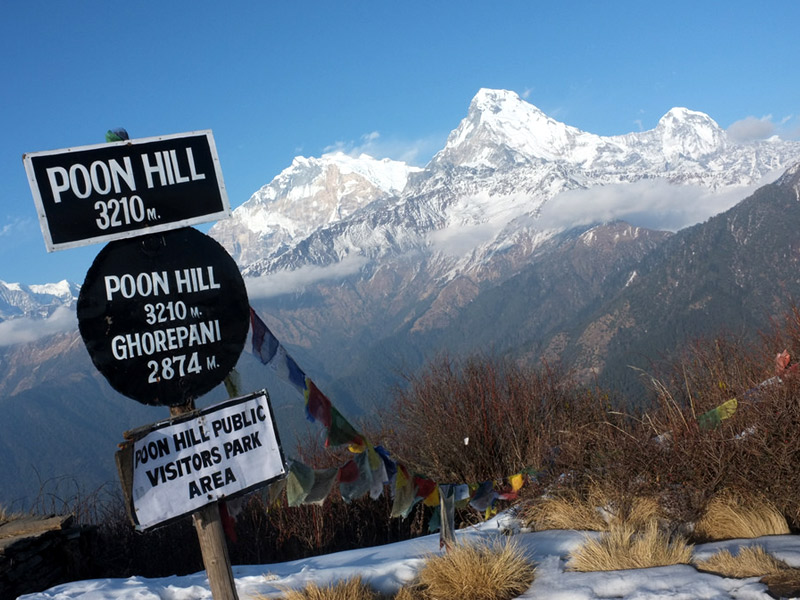 Poon Hill Trek with Jungle Safari